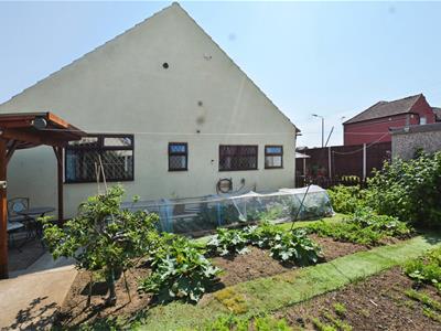 Picture 19